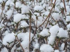 01. 정처없이 방황하는.