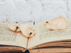 𝓡𝓸𝓼𝓮𝓵𝓲𝓽𝓪 𝓖𝓻𝓪𝔃𝓲𝓸𝓼𝓸 𝓡𝓾𝓼𝓼𝓮𝓵𝓵