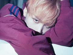 짖는 개는 물지 않는다