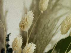 [진영인른] 왼들이 진영인 끌어안는 것이 보고 싶어서 씀