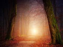 [도리벤/마이타케] 악마와 계약