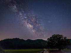 은하수를 만난 날