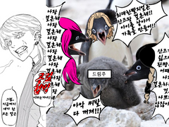 도리벤 산즈 드림.