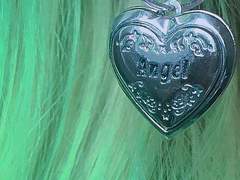 유니버시티 민트 01.