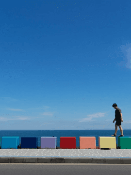 기타 장르 번역