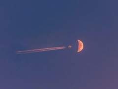 별처럼 빛나는 너 나를