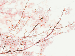 절대 들키지 말아야지