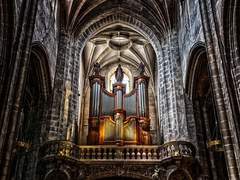 신의 통솔자는 이리 말했습니다