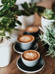 개인지 유료 발행