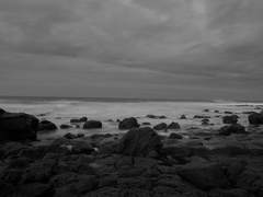 07. 신의를 담아 말합니다