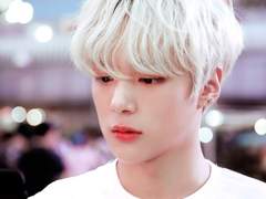 [댕햄] 크레모사 딸기크림 맛