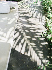 볕이 드는 곳으로 갈까