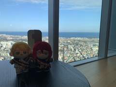 제주여행 2일차