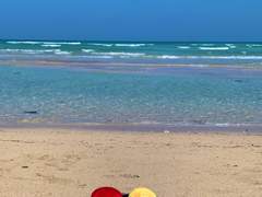 제주여행 3일차(마지막날)