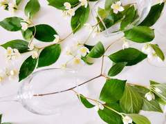 로맨틱 테이크아웃 한 잔, 진하게 上