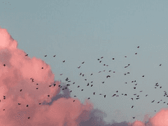 그저 가벼운 신뢰