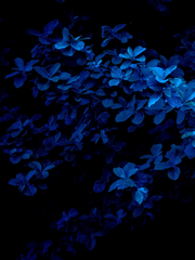 로스트아크 썰, 글 모음집