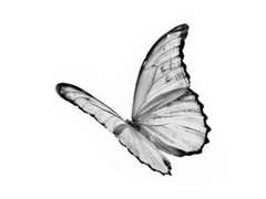 인스타 하이라이트 짤