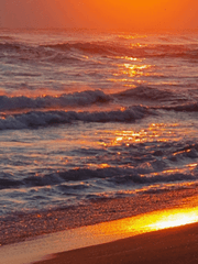 나나미 켄토 X 하나카와 아이리