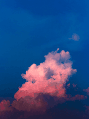 21살, 파란색 물감으로 그려가는 내 시간들.