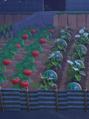 동숲 꿈섬에 놀러가다