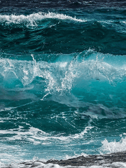 에이버리 L.G. 페리