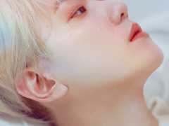 단 한 번도 거짓말인 적 없던