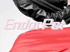 EndorPet (완결후기)