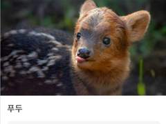 언제나 즐거운(?) 00즈 5