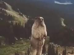 전화하다가 아빠한테 쌍욕들은 썰