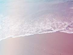 새하얀 스케치북