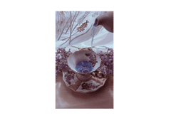 [서호/28/XY/신궁]