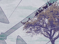 To. Bia-t Aaron Astar-oad