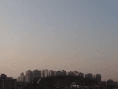 토한 것은 치우셨나요?