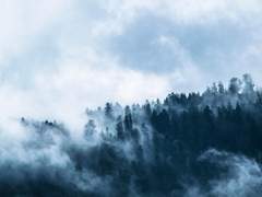 To. Lily Madeleine Custard