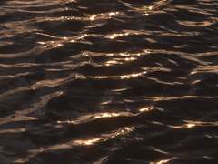 너무 시끄러운 인생 6