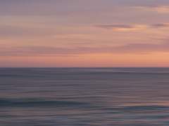 창세기의 끝에서