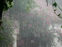 비 오는 날에는 구름이 무거워 쏟아질 것 같은 마음이 들고.