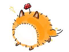 커뮤 러닝로그 백업