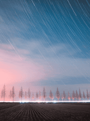 08. 별이 내리는 날