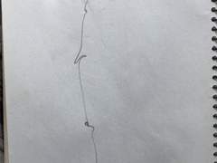 『48』 슬픔이 핑곗거리로 더부룩해졌다