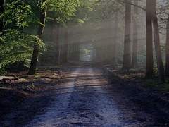 사람은 무엇으로 만들어지는가