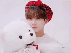 세븐틴 정한 애정운 풀이