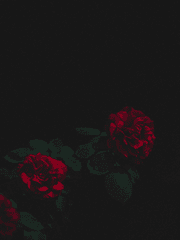 네 목소린 날 부르는 주문이 돼