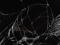 이미지 글로그(13)