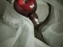 배우 빙의글 잔혹동화 백설공주 完