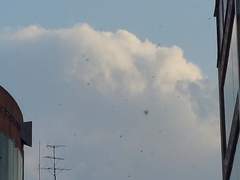 당신은 어떤 표정을 지을까요