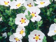 새는 알을깨고 나온다.