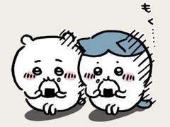 슈단아의 자서전