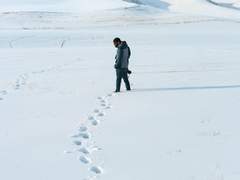 이미지 글로그(14)